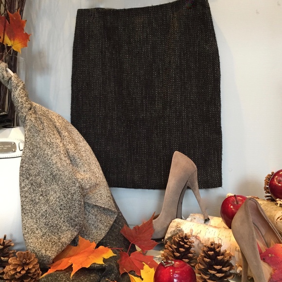 🍂 WOOL BLEND SKIRT NWOT - Picture 1 of 10
